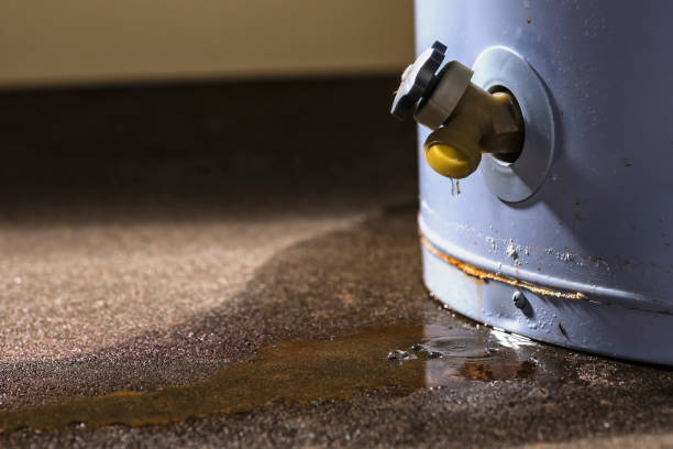 Best Professional water damage repair  in Larchmont, NY