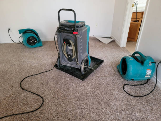 Best Flood restoration services  in Larchmont, NY