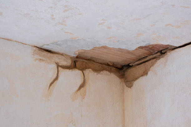 Best Flooded house restoration  in Larchmont, NY