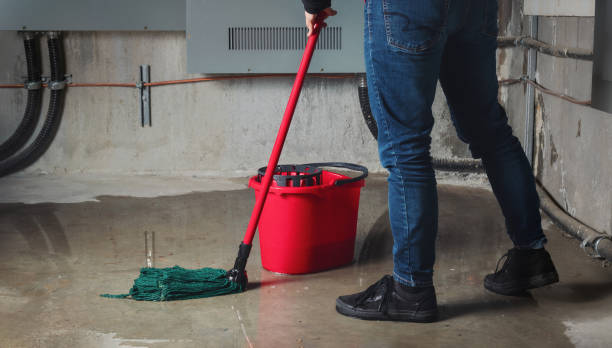 Best Fire Damage Restoration  in Larchmont, NY