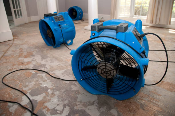 Best Mold removal after water damage  in Larchmont, NY