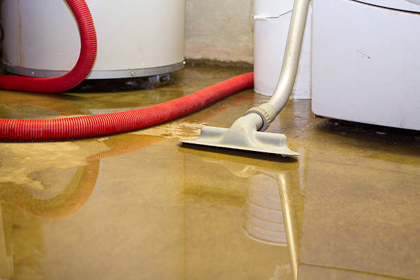 Best Water damage restoration near me  in Larchmont, NY