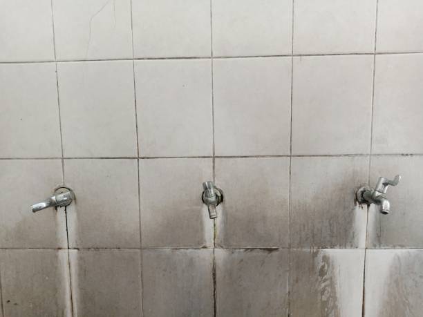 Reliable Larchmont, NY Water damage restoration Solutions