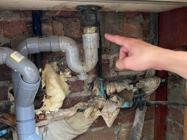 Best Ceiling water damage repair  in Larchmont, NY