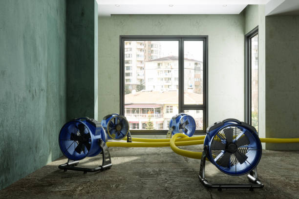 Best Mold removal after water damage  in Larchmont, NY